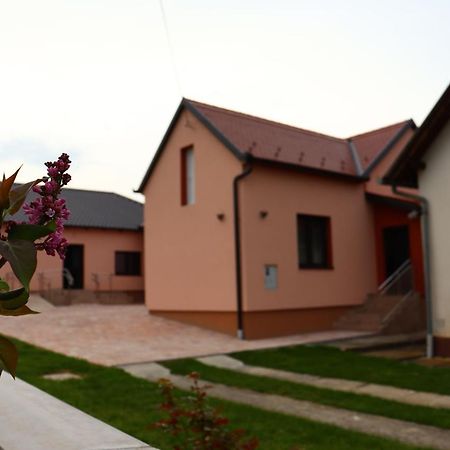 Agroturizam Opg Jakopovic Caglin Kültér fotó