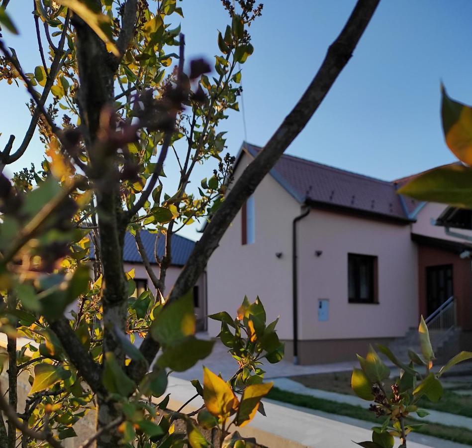 Agroturizam Opg Jakopovic Caglin Kültér fotó